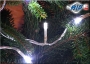 50er LED Lichterkette wei� - Innen