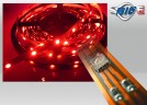 LED Stripes SMD Rot - Meterware
