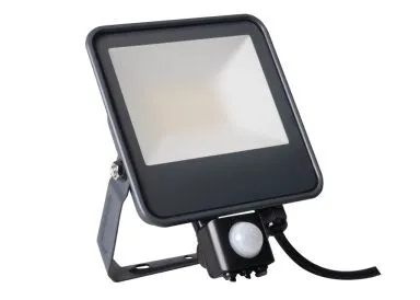 Kanlux LED Außenstrahler Fluter IQ-LED FL 30W-NW SE Bewegungsmelder