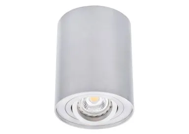 Kanlux Aluminium Aufbaustrahler matt BORD DLP-50 eine Lichtquelle