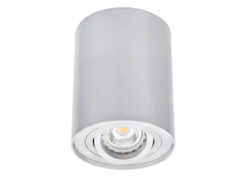 Kanlux Aluminium Aufbaustrahler matt BORD DLP-50 eine Lichtquelle